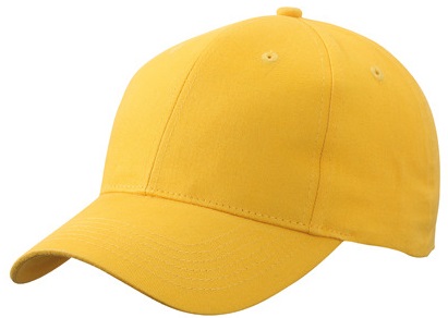 Myrtle Beach  Brushed 6 Panel Cap 6118